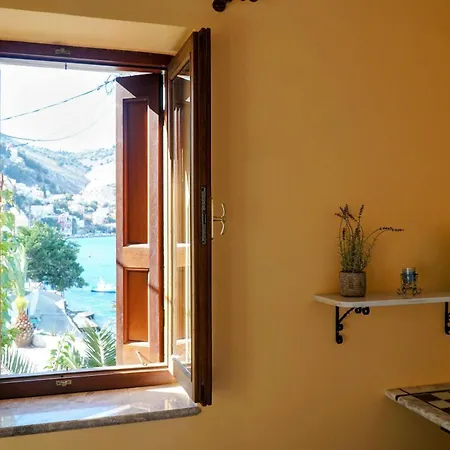 Apartment Petalo House *
