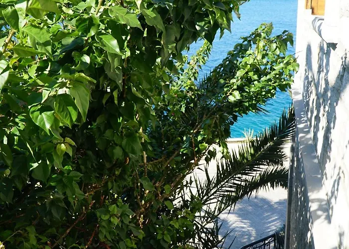 Appartamento Petalo House